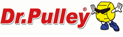 Logo Dr Pulley